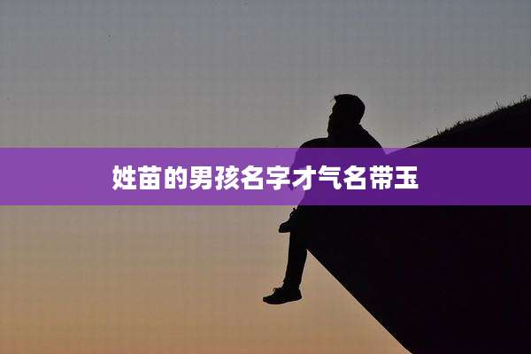姓苗的男孩名字才气名带玉