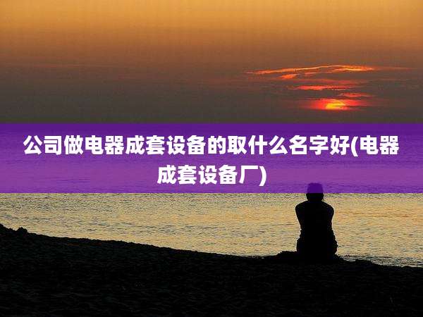 公司做电器成套设备的取什么名字好(电器成套设备厂)