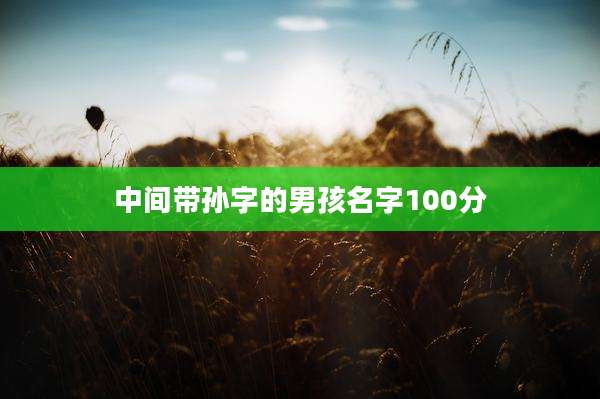 中间带孙字的男孩名字100分