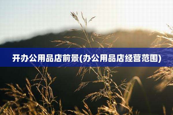 开办公用品店前景(办公用品店经营范围)