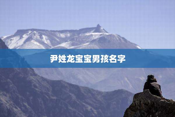 尹姓龙宝宝男孩名字