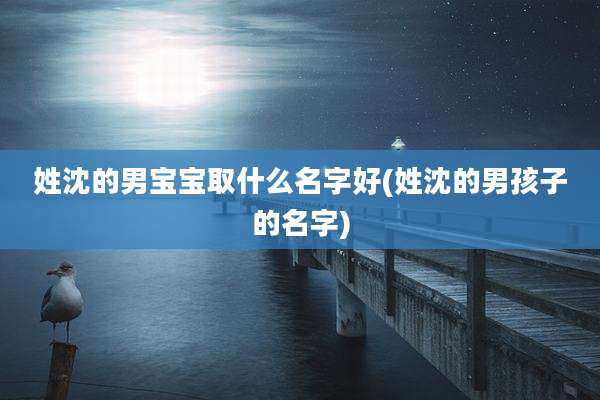 姓沈的男宝宝取什么名字好(姓沈的男孩子的名字)