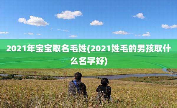 2021年宝宝取名毛姓(2021姓毛的男孩取什么名字好)