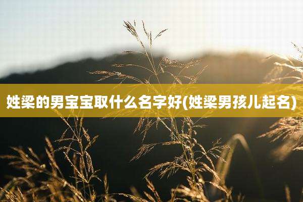 姓梁的男宝宝取什么名字好(姓梁男孩儿起名)