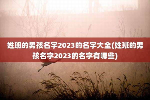 姓班的男孩名字2023的名字大全(姓班的男孩名字2023的名字有哪些)