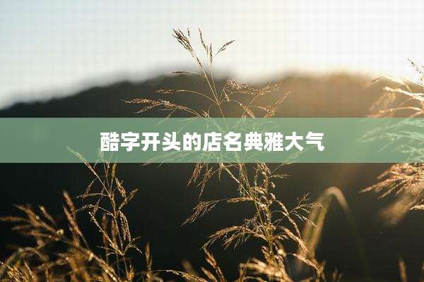 酷字开头的店名典雅大气