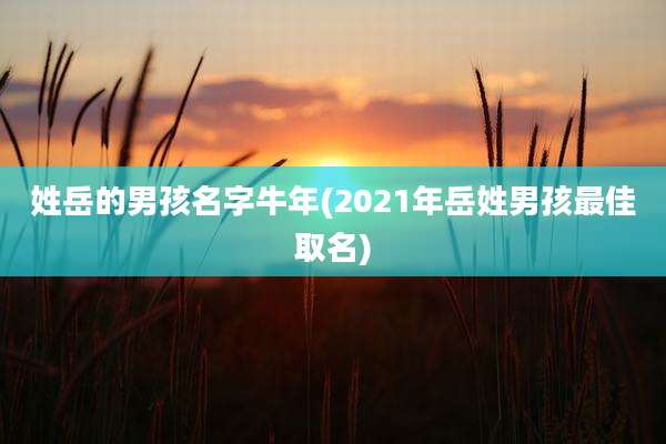姓岳的男孩名字牛年(2021年岳姓男孩最佳取名)