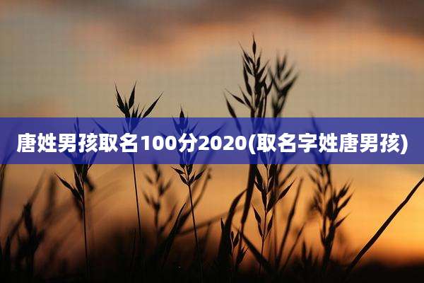 唐姓男孩取名100分2020(取名字姓唐男孩)