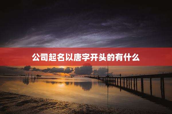 公司起名以唐字开头的有什么