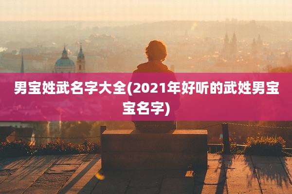 男宝姓武名字大全(2021年好听的武姓男宝宝名字)