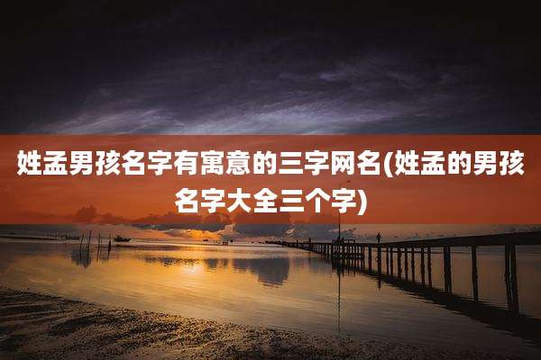 姓孟男孩名字有寓意的三字网名(姓孟的男孩名字大全三个字)