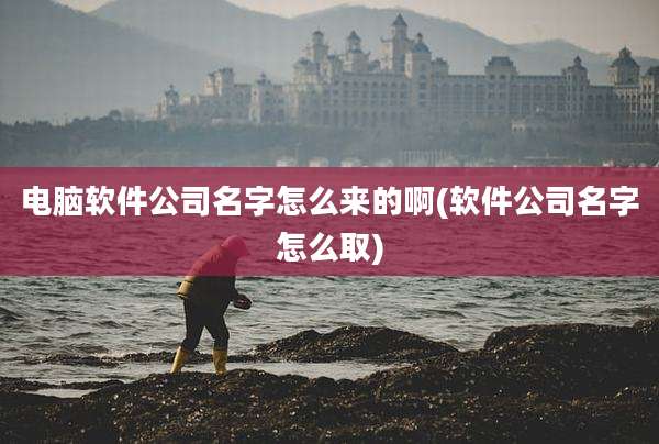 电脑软件公司名字怎么来的啊(软件公司名字怎么取)