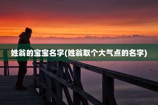 姓翁的宝宝名字(姓翁取个大气点的名字)