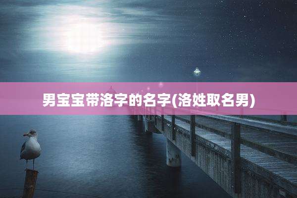 男宝宝带洛字的名字(洛姓取名男)
