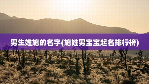 男生姓施的名字(施姓男宝宝起名排行榜)