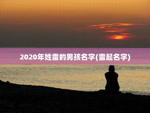 2020年姓雷的男孩名字(雷起名字)