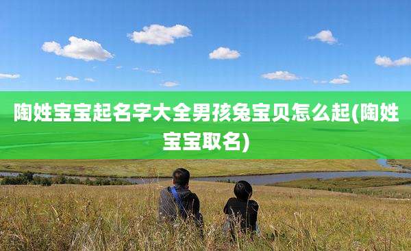 陶姓宝宝起名字大全男孩兔宝贝怎么起(陶姓宝宝取名)