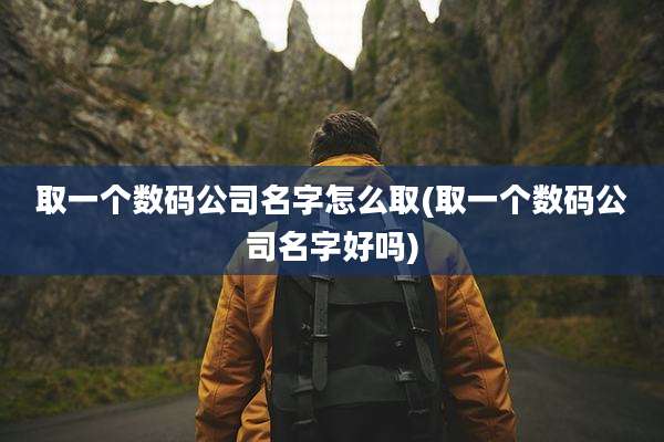 取一个数码公司名字怎么取(取一个数码公司名字好吗)