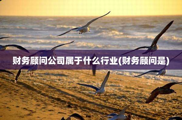 财务顾问公司属于什么行业(财务顾问是)