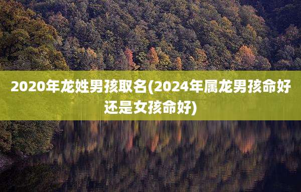 2020年龙姓男孩取名(2024年属龙男孩命好还是女孩命好)