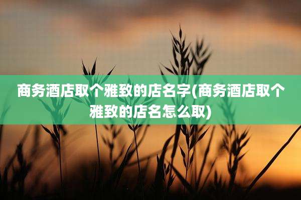 商务酒店取个雅致的店名字(商务酒店取个雅致的店名怎么取)