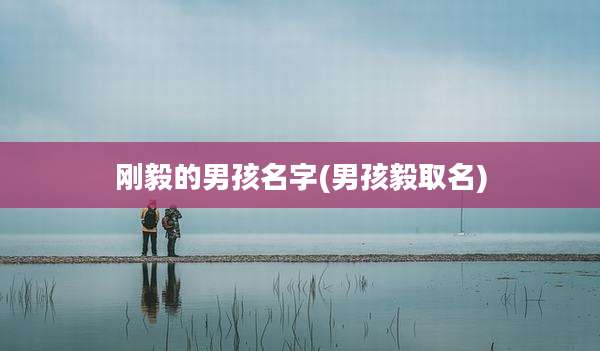 刚毅的男孩名字(男孩毅取名)