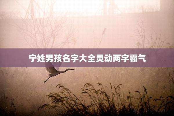 宁姓男孩名字大全灵动两字霸气