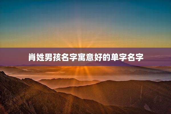 肖姓男孩名字寓意好的单字名字