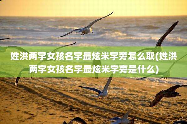 姓洪两字女孩名字最炫米字旁怎么取(姓洪两字女孩名字最炫米字旁是什么)