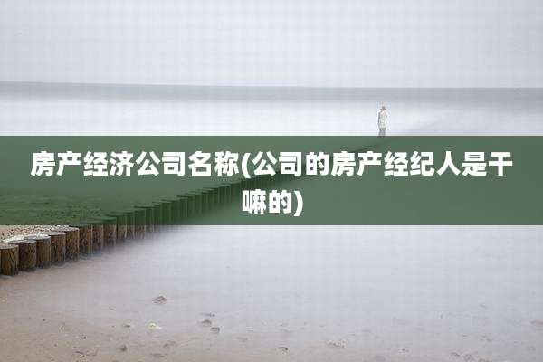 房产经济公司名称(公司的房产经纪人是干嘛的)