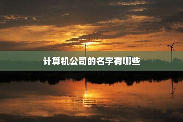 计算机公司的名字有哪些