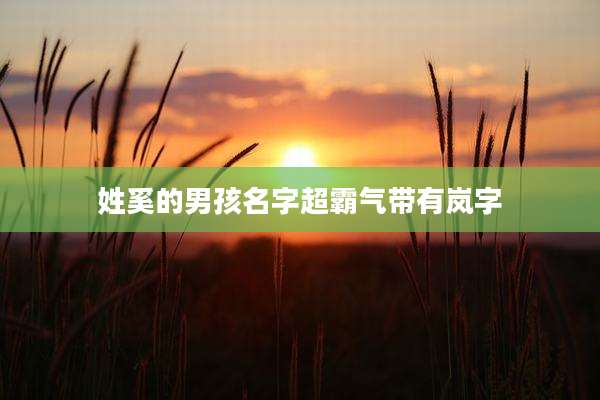 姓奚的男孩名字超霸气带有岚字