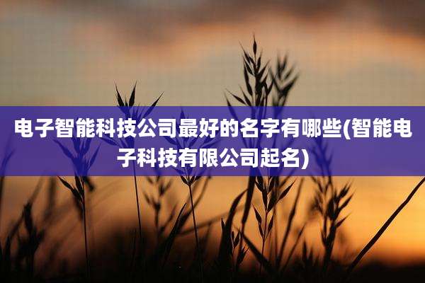 电子智能科技公司最好的名字有哪些(智能电子科技有限公司起名)