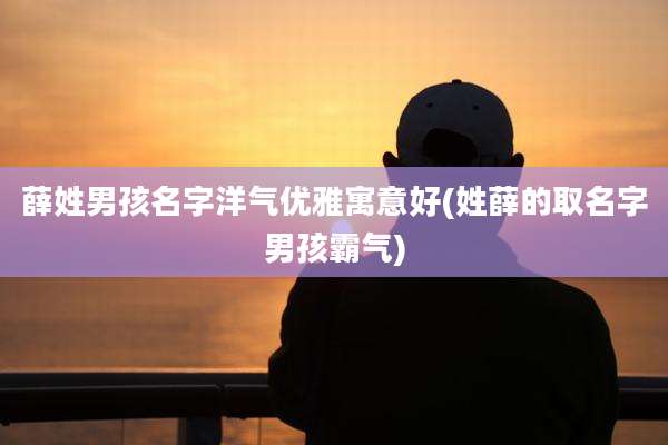 薛姓男孩名字洋气优雅寓意好(姓薛的取名字男孩霸气)