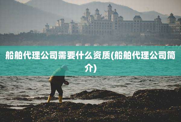 船舶代理公司需要什么资质(船舶代理公司简介)