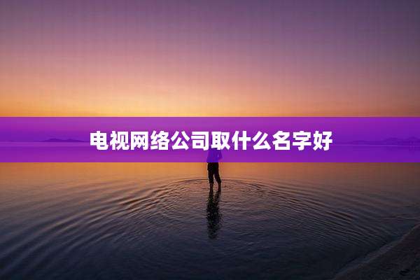 电视网络公司取什么名字好