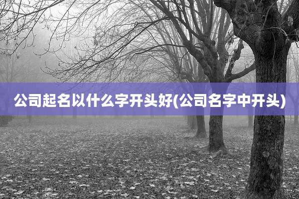 公司起名以什么字开头好(公司名字中开头)