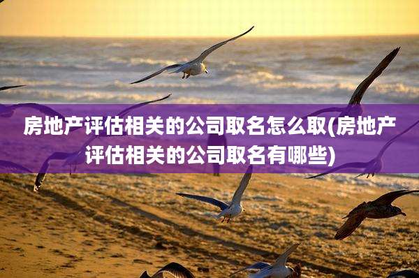 房地产评估相关的公司取名怎么取(房地产评估相关的公司取名有哪些)