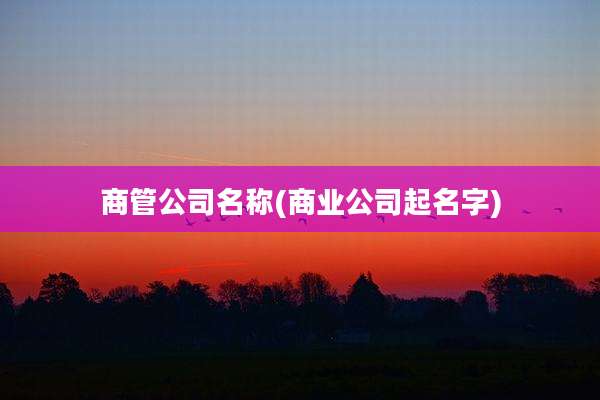商管公司名称(商业公司起名字)