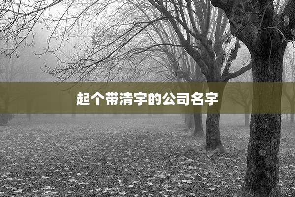 起个带清字的公司名字