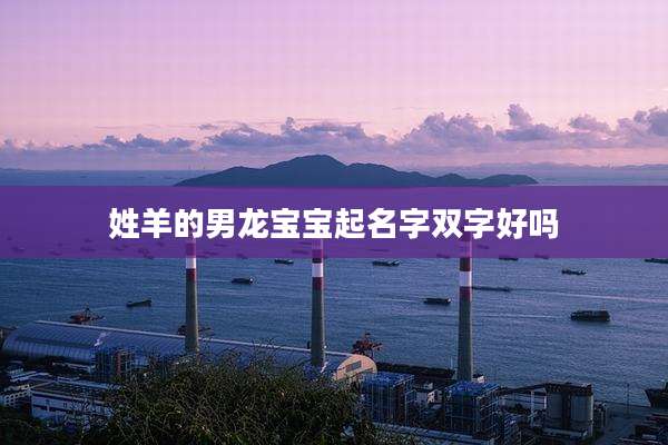 姓羊的男龙宝宝起名字双字好吗