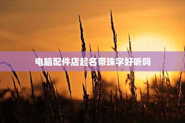 电脑配件店起名带珠字好听吗