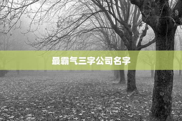 最霸气三字公司名字