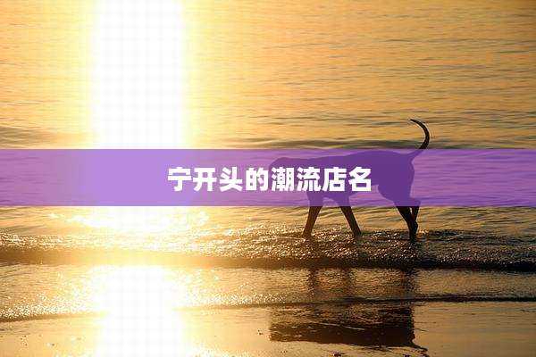 宁开头的潮流店名