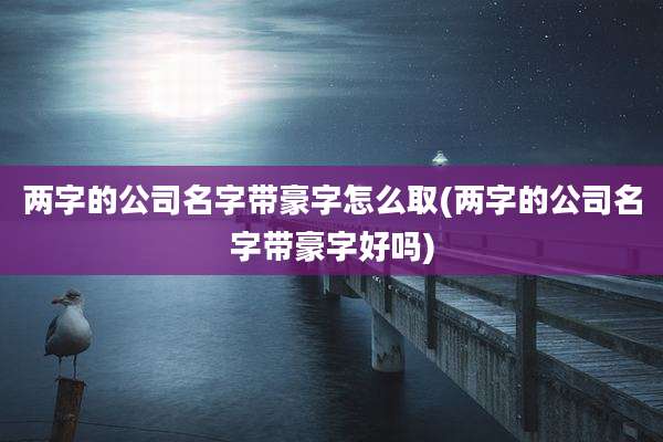 两字的公司名字带豪字怎么取(两字的公司名字带豪字好吗)