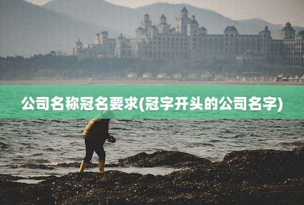 公司名称冠名要求(冠字开头的公司名字)