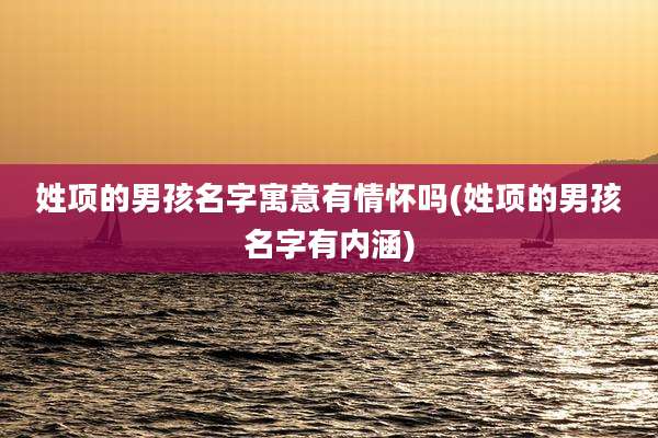 姓项的男孩名字寓意有情怀吗(姓项的男孩名字有内涵)