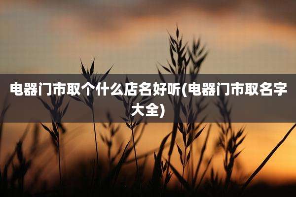 电器门市取个什么店名好听(电器门市取名字大全)