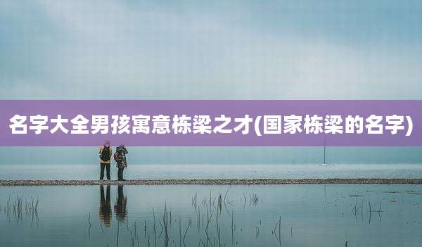 名字大全男孩寓意栋梁之才(国家栋梁的名字)