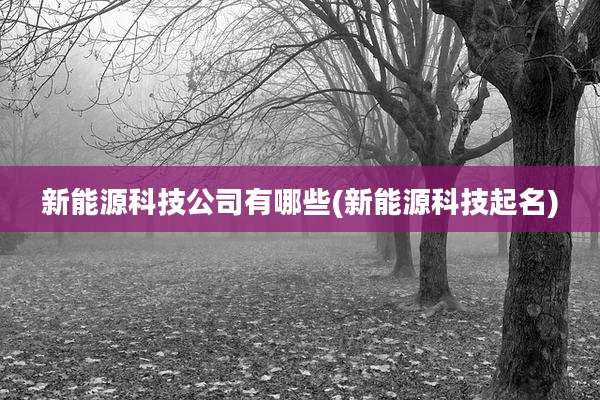 新能源科技公司有哪些(新能源科技起名)